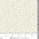 3553-44__43430.jpg